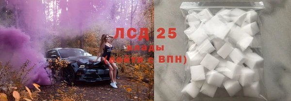 соль ск Белокуриха