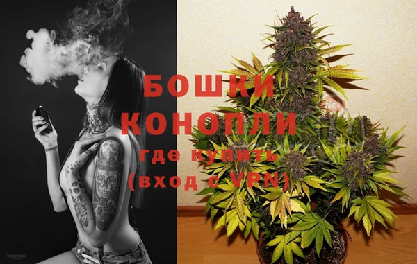 соль ск Белокуриха