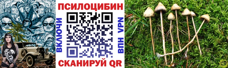 Псилоцибиновые грибы мицелий  купить наркотик  KRAKEN маркетплейс  Белокуриха 